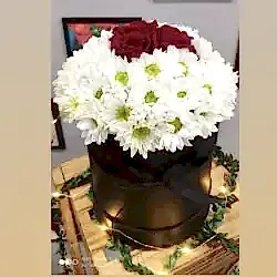 Kutuda 3 Gül ve Papatya