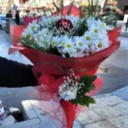 Tek Güllü Papatya Buketi