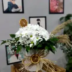 Seramik Vazoda Canlı Papatyalar