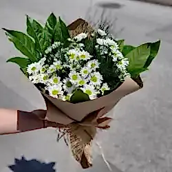 Kraft Kağıtta Papatya Buketi